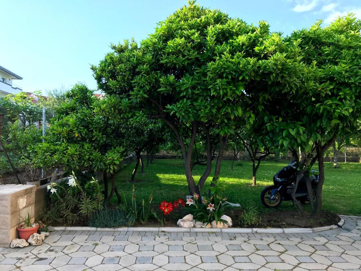 Apartments Kraja Ulcinj Bagian luar foto