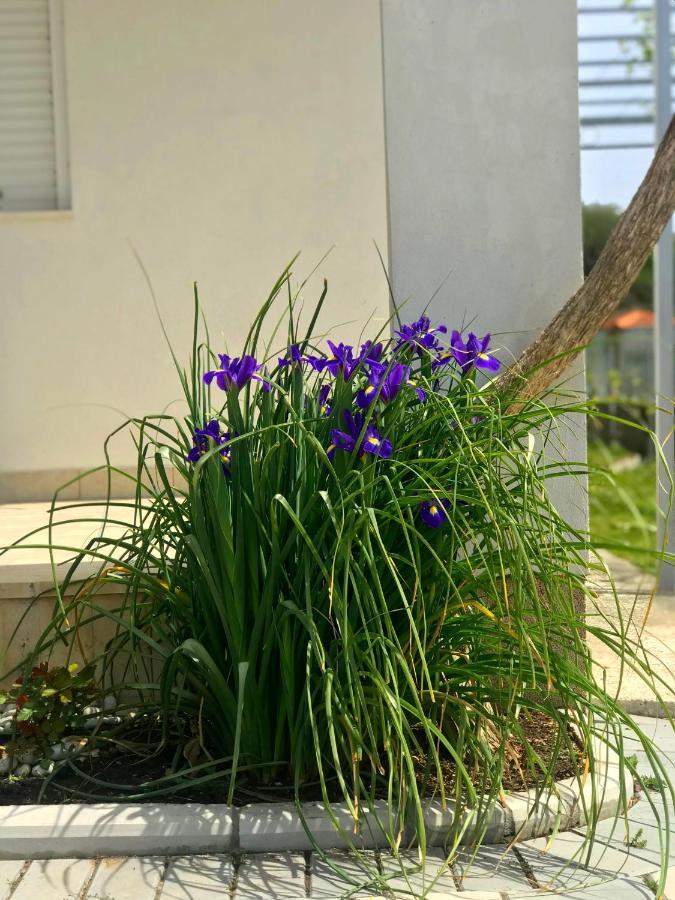 Apartments Kraja Ulcinj Bagian luar foto